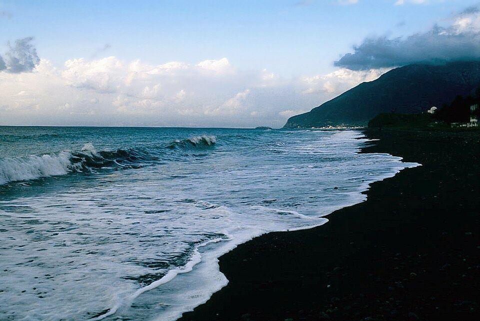 رأس البسيط